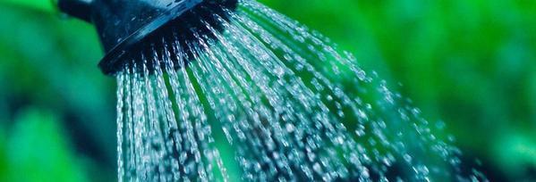 Bore Pumps